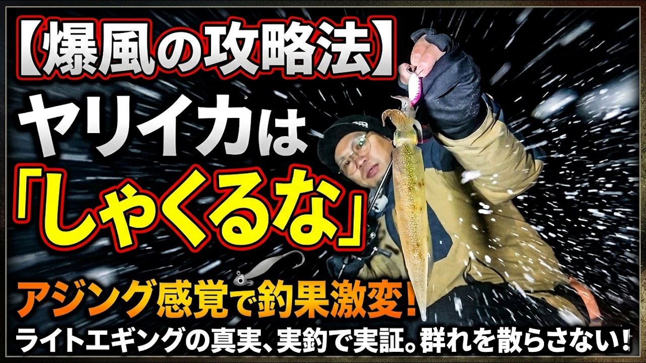 【爆風の攻略法】ヤリイカは「しゃくるな」。アジング感覚で釣果が激変するライトエギングの真実