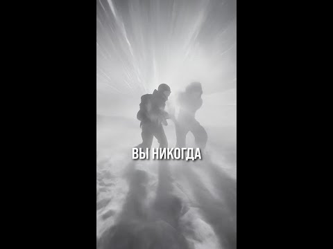 Секрет стабильных визуалов с ИИ: от промпта до системы