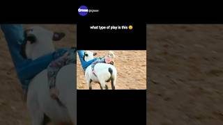 What Type Of Play Do They Call This