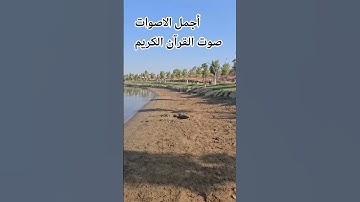 قران كريم🤲🌹♥️ بصوت جميل اللهم اجعل القرآن ربيع قلوبنا ونور صدورنا #اكسبلور #راحة_نفسية#المصحف