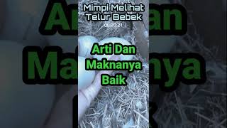 Arti Mimpi Melihat Telur Bebek #artimimpi #feedshorts #youtubeshorts  #ruangartimimpi