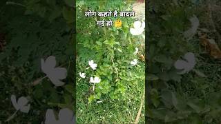 #love #sad #motivation #poetry #trending #gugugaga #youtubeshorts #original #shortvideo #viralvideo
