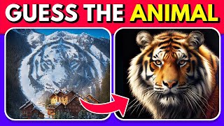 Guess the Hidden Animal by ILLUSION 🐶🐵🐈 Easy, Medium, Hard level Quiz