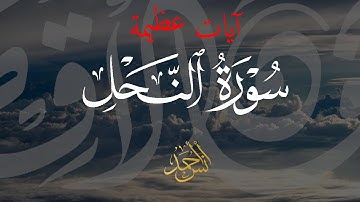 تلاوة هادئة من سورة النحل💖 | وقال الله لا تتخذوا إلهين اثنين🌹| القارئ أنس أحمد