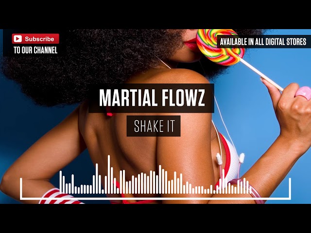 Martial Flowz  -  Shake It