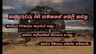 හාමුදුරුවරු 60 නමකගේ බෙලි කඩපු තැන...😱🤫| සාරථී 🌿| Sarathee