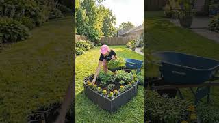 I Built a Heart-Shaped Garden Bed Using Cinder Blocks! ❤️ | DIY Backyard Transformation