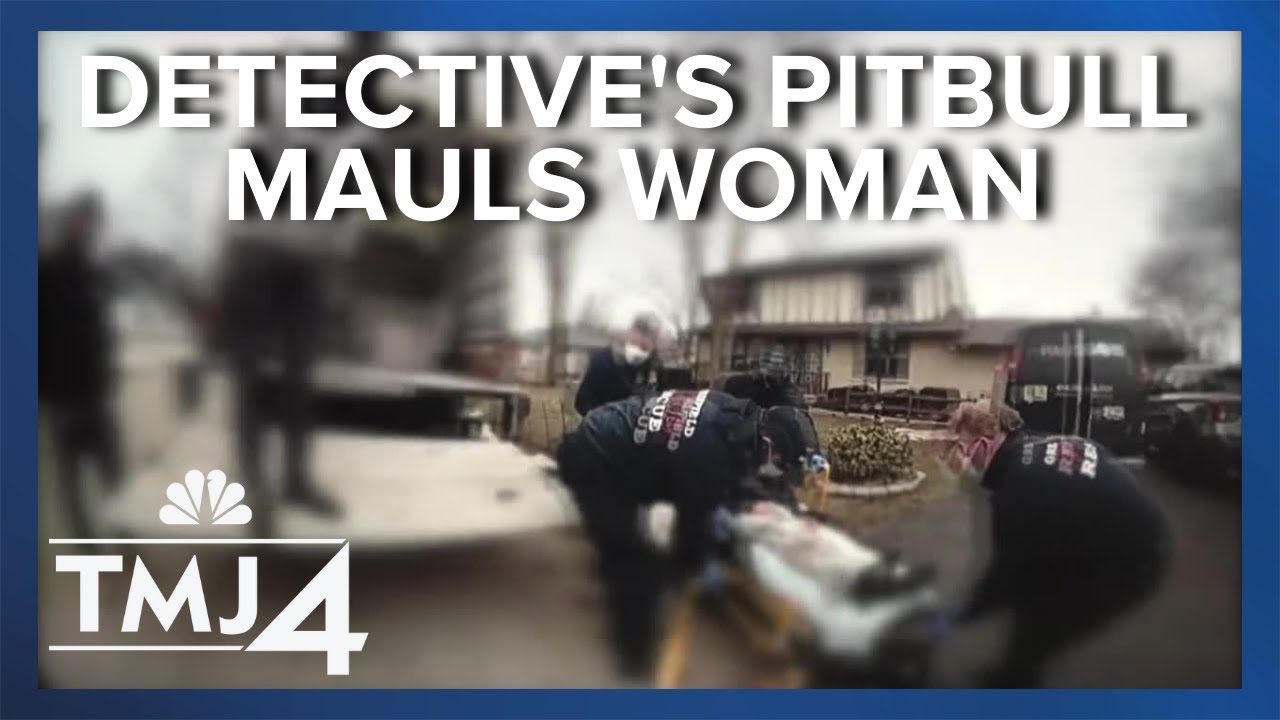 Police cite detective after violent dog attack at his home - YouTube
