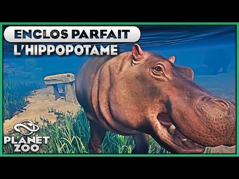 Les Hippopotames (Baie vitrée aquatique) | LES ENCLOS PARFAITS : EPISODE 32 | PLANET ZOO