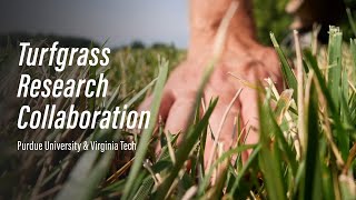 Purdue and Virginia Tech Turfgrass Research Collaboration