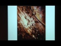 view Art and Science Lecture Series with Tom Lovejoy digital asset number 1