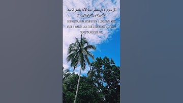 سورة الرعد | اية ٢ | Surah Ra'ad | Ayah 2 | #quran #surah #ayah