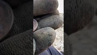 Not my shovel #environmentalcleanup #metaldetecting