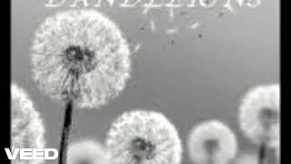 Dandelions 8dslowedreverb ruthb 8dtunes edsheeran alanwalker 8d slowedandreverb
