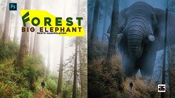 Forest Big Elephant Effect Photo Manipulation | Photoshop CC 2019 Tutorial #ARYANSUPPORT