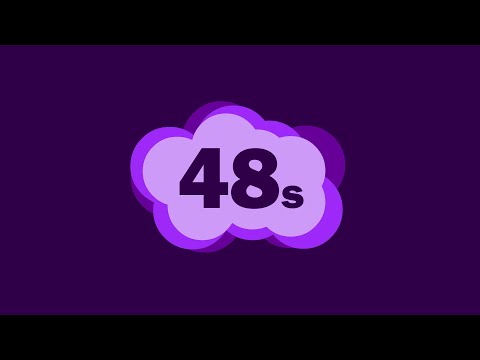 48 Second Timer (Basic Purple)