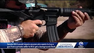 Legislature approves bill to extend background checks on most gun sales