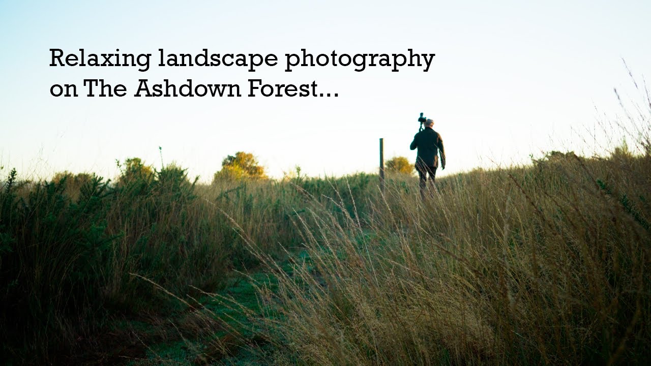 Relaxing landscape photography on The Ashdown Forest