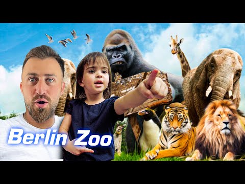 პირველი მოგზაურობა კირასთან ერთად -  ვლოგი ბერლინის ზოოპარკიდან