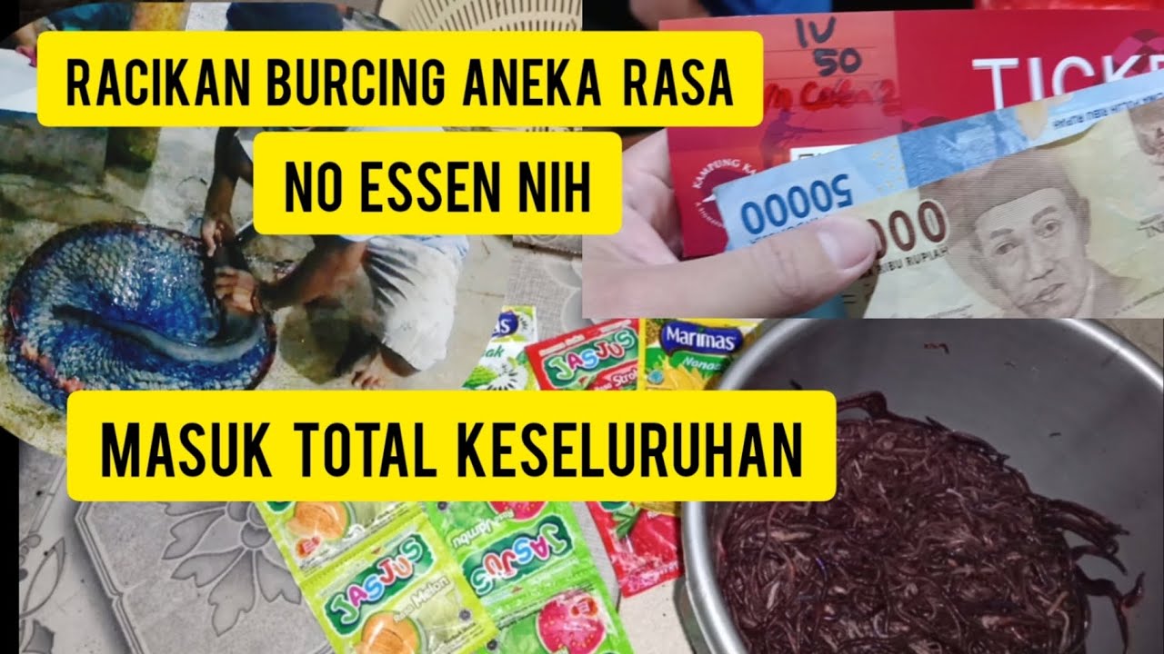 UMPAN GALATAMA LELE MEDIA CACING MERAH MASUK TOTAL DAN TIKET GRANDPIX.. no essen guys