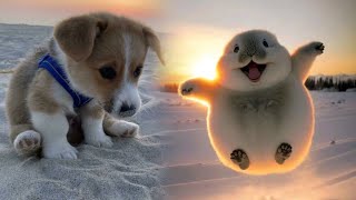 Cutest baby animals Videos Compilation Cute moment of the Animals -Pet Beasts#17