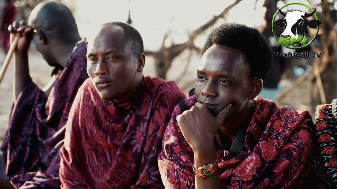 RAIS SAMIA KUZUNGUMZA NA WAFUGAJI MOROGORO 