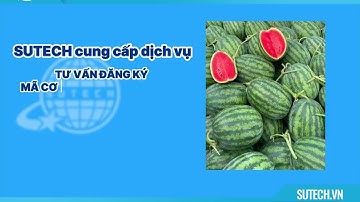 ĐĂNG KÝ MÃ CƠ SỞ ĐÓNG GÓI DƯA HẤU