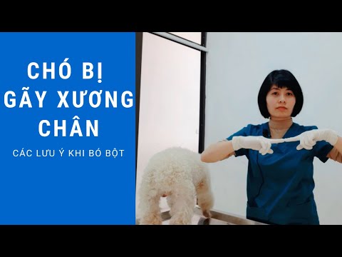 Video: Làm thế nào để điều trị chấn thương chân chó