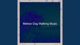 Simplistic Backdrops for Doggies
