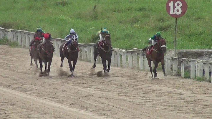 4 Preo  Clssico Mrio Ferman  2.000 metros  135,3s:...