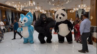 Gorilla,Panda And Fox In Birthday Party Gorilla Ka Dance
