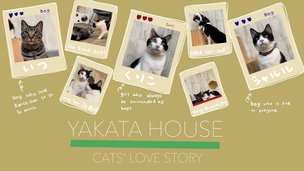 Welcome to YAKATA HOUSE