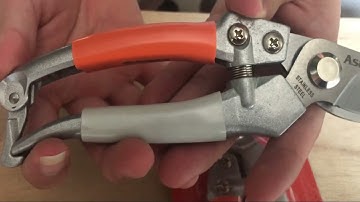 Kéo cắt cành ASAKI hàng loại 1 siêu sắc , hàng chính hãng nhật