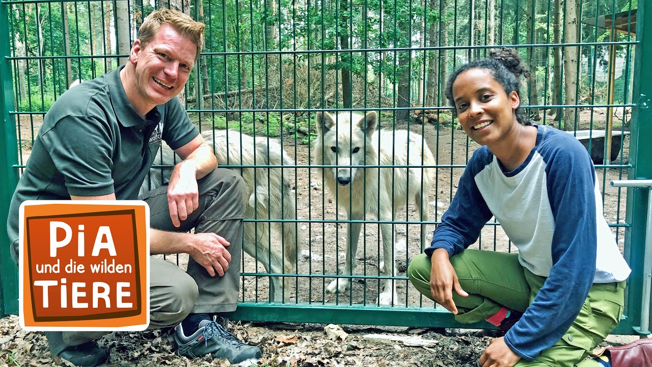 Spezialisten in Gefahr! 😱 Notärzte werden von einem WOLF festgehalten 🐺 ​| Die Spezialisten | SAT.1