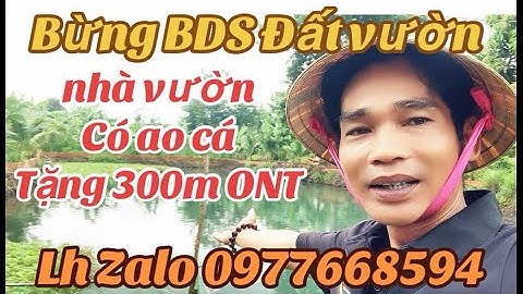anh chủ độc thân 40 năm cần bán lô đất nhà vườn trái cây có long mạch nước quanh năm