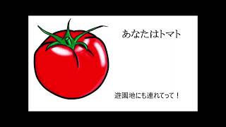 あなたはトマト