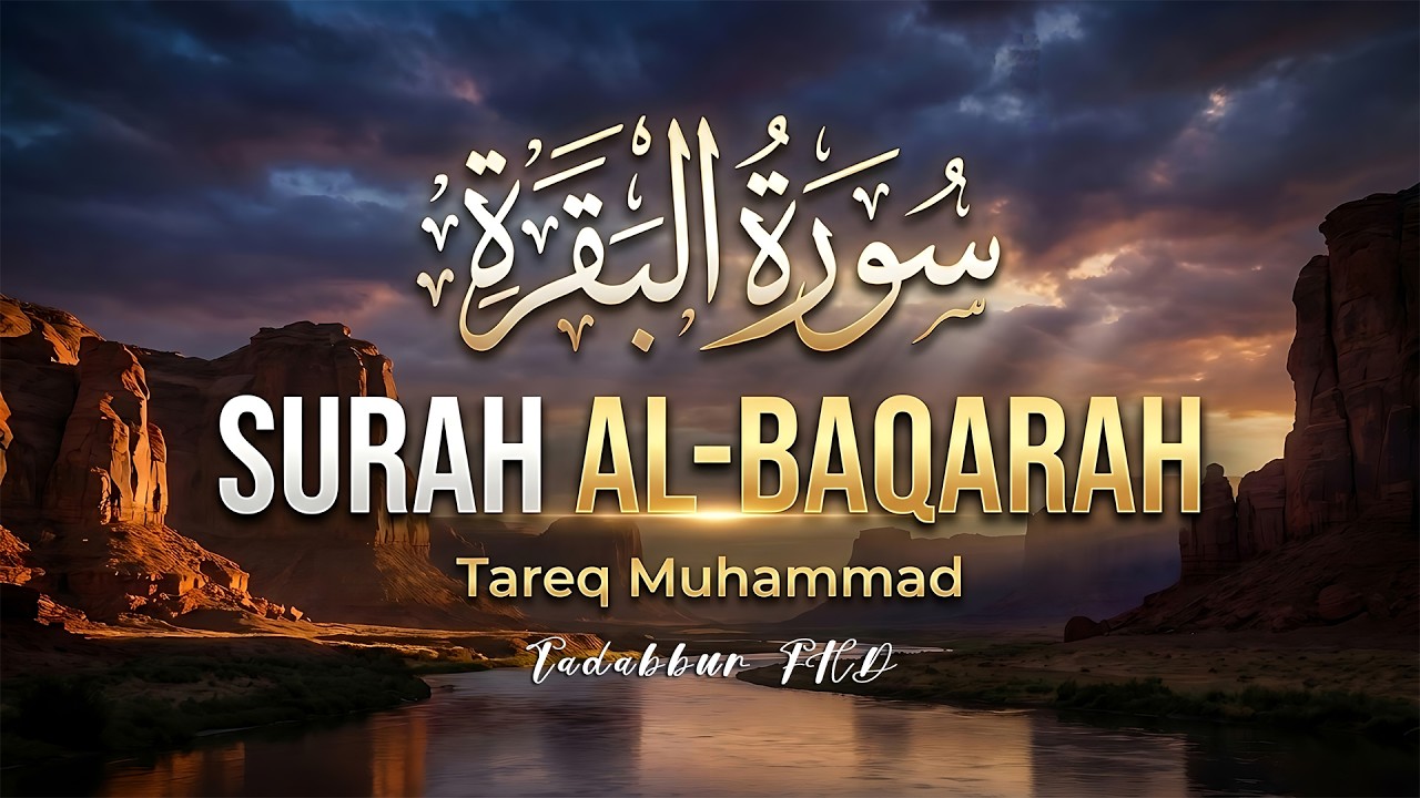 Surah Al-Baqarah (البقرة) | Full Powerful Quran Recitation for Peaceful Nights – Tareq Muhammad
