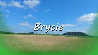 Big Red Machine - Brycie (Cover by Anton) Lyric Video