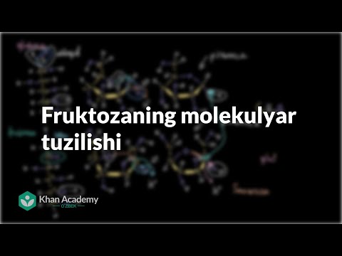 Video: Fosfolipid molekulasi qanday qismlardan iborat?