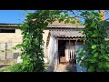 Закарпатская дачка - как всё изменилось! Растет само.