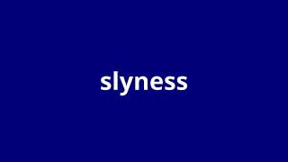 what is the meaning of slyness.