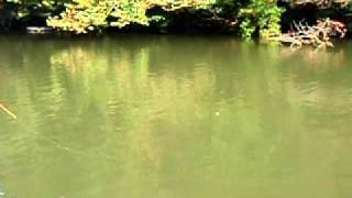 PB150019.AVI