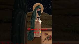 The blessed virgin mary🙏🙏