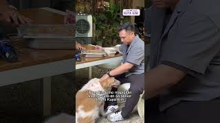 Ang cute talaga ng aso ni Kuya Kim! | Dami Mong Alam, Kuya Kim!