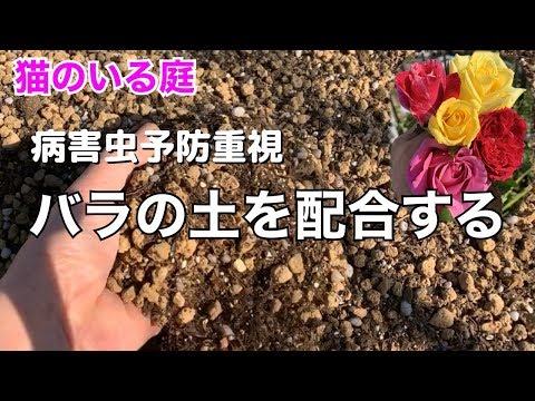 猫のいる庭 鉢バラの土を配合する Mix The Soil For Potted Roses Youtube