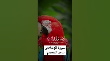 #القرآن_الكريم_ سورة الإخلاص #عامر السعيدي
