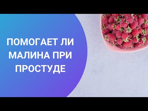 ПОМОГАЕТ ЛИ МАЛИНА ПРИ ПРОСТУДЕ