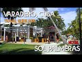 Varadero Cuba Sol Palmeras -The Hotel, The Pool, The Beach and the Restos