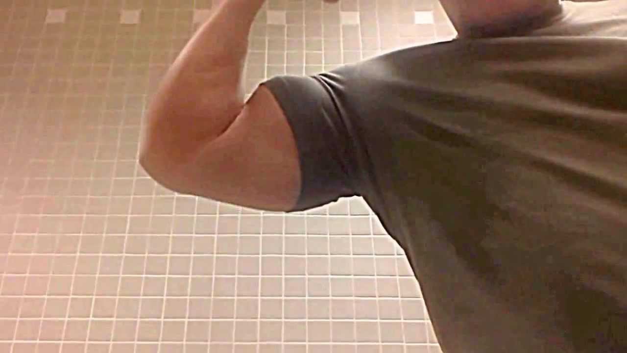 New chest and arms update exercise 14.1 class 11