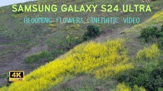 Cinematic Video- Blooming Flowers - Samsung Galaxy S24 Ultra - 4K 60FPS- Pro Video Mode